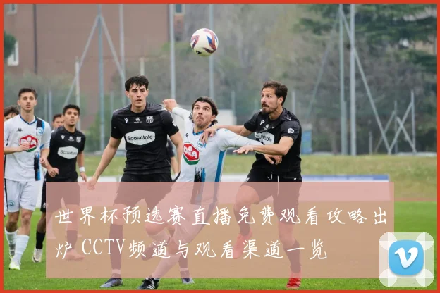 世界杯预选赛直播免费观看攻略出炉 CCTV频道与观看渠道一览