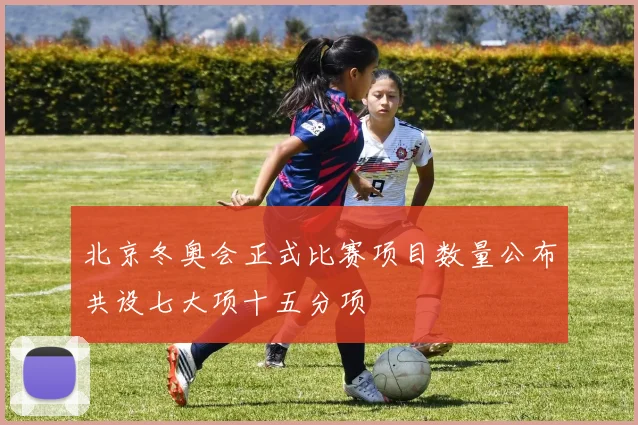 北京冬奥会正式比赛项目数量公布共设七大项十五分项