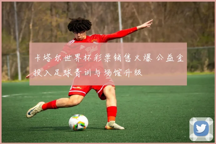 卡塔尔世界杯彩票销售火爆 公益金投入足球青训与场馆升级