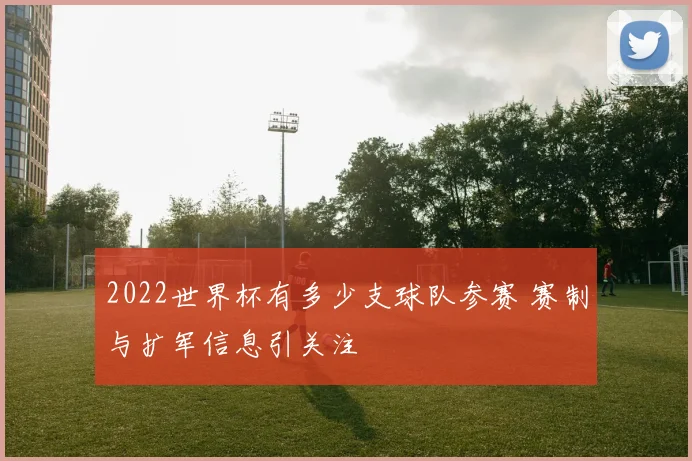2022世界杯有多少支球队参赛 赛制与扩军信息引关注