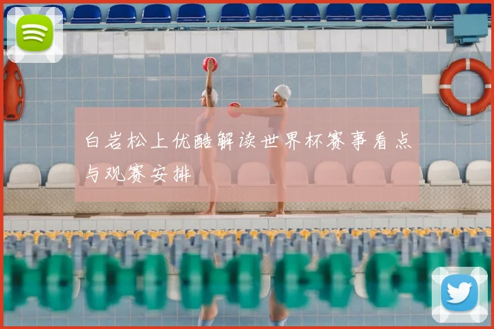 白岩松上优酷解读世界杯赛事看点与观赛安排
