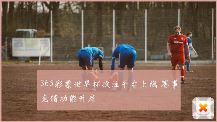 365彩票世界杯投注平台上线 赛事竞猜功能开启