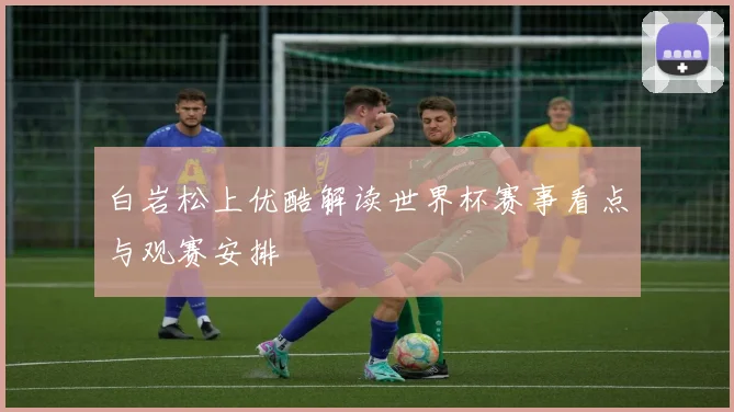 白岩松上优酷解读世界杯赛事看点与观赛安排